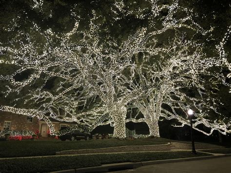 Christmas Lights in River Oaks Houston Images